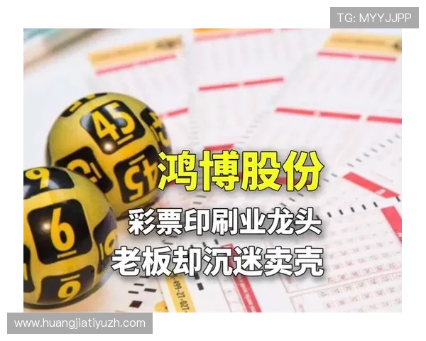 专业分析鸿博体育登录线路的技术架构与优化建议