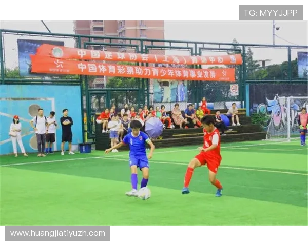 三升体育助力青少年体育文化传承与创新的具体措施